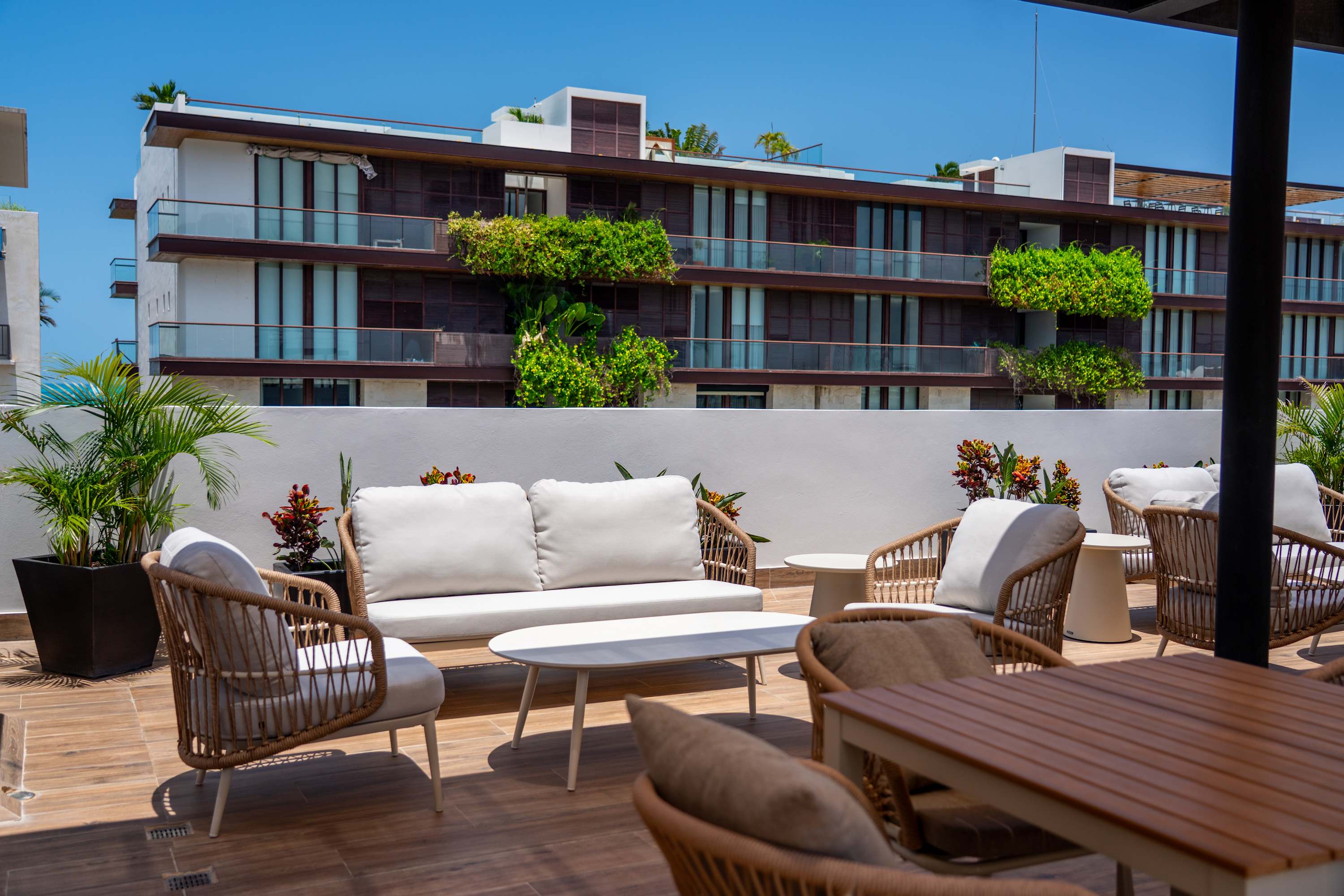 Outdoor patio with seating and tropical plants in front of a modern building.