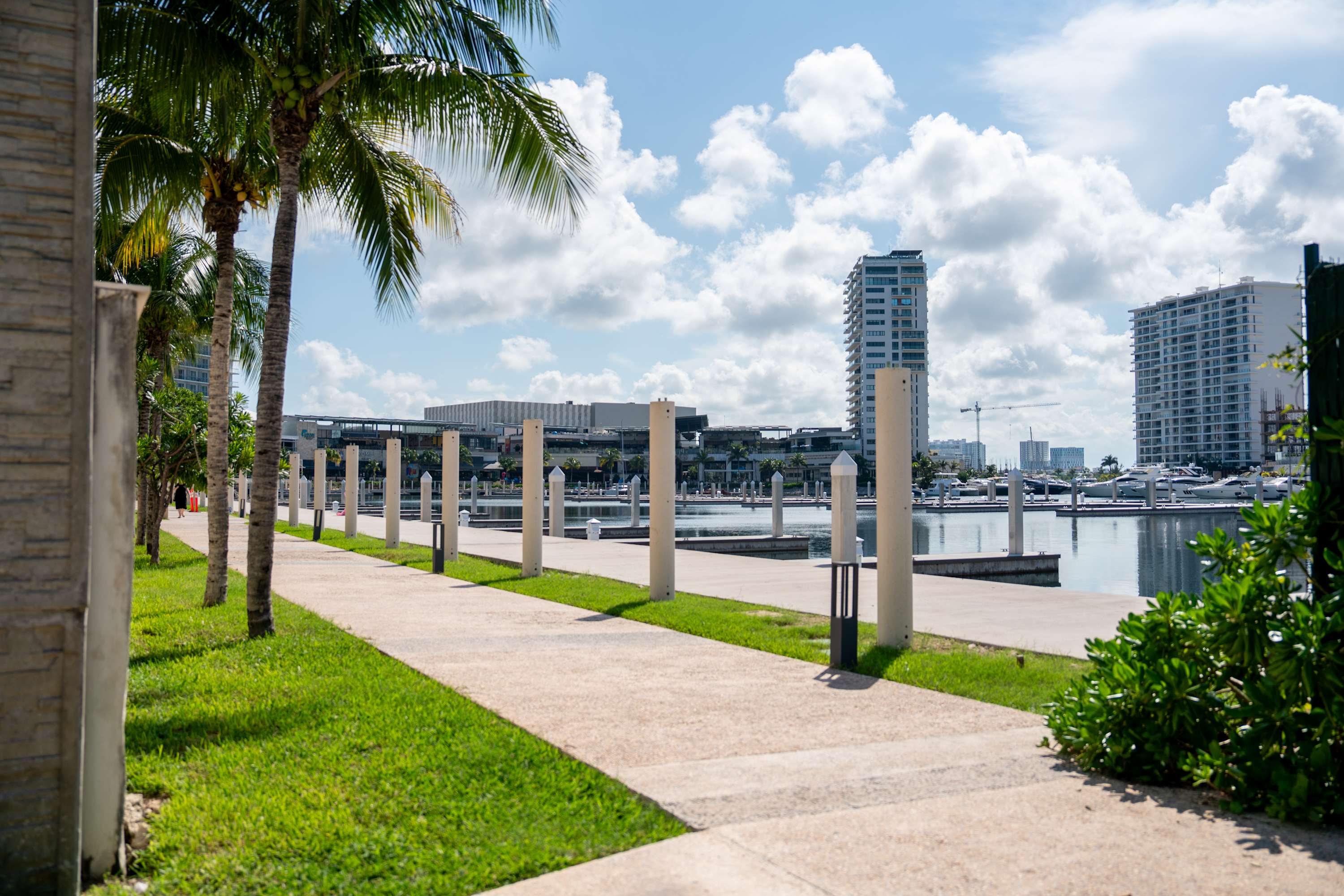 A paved walkway lined with grass and palm trees leads to a marina with yachts and high-rise building