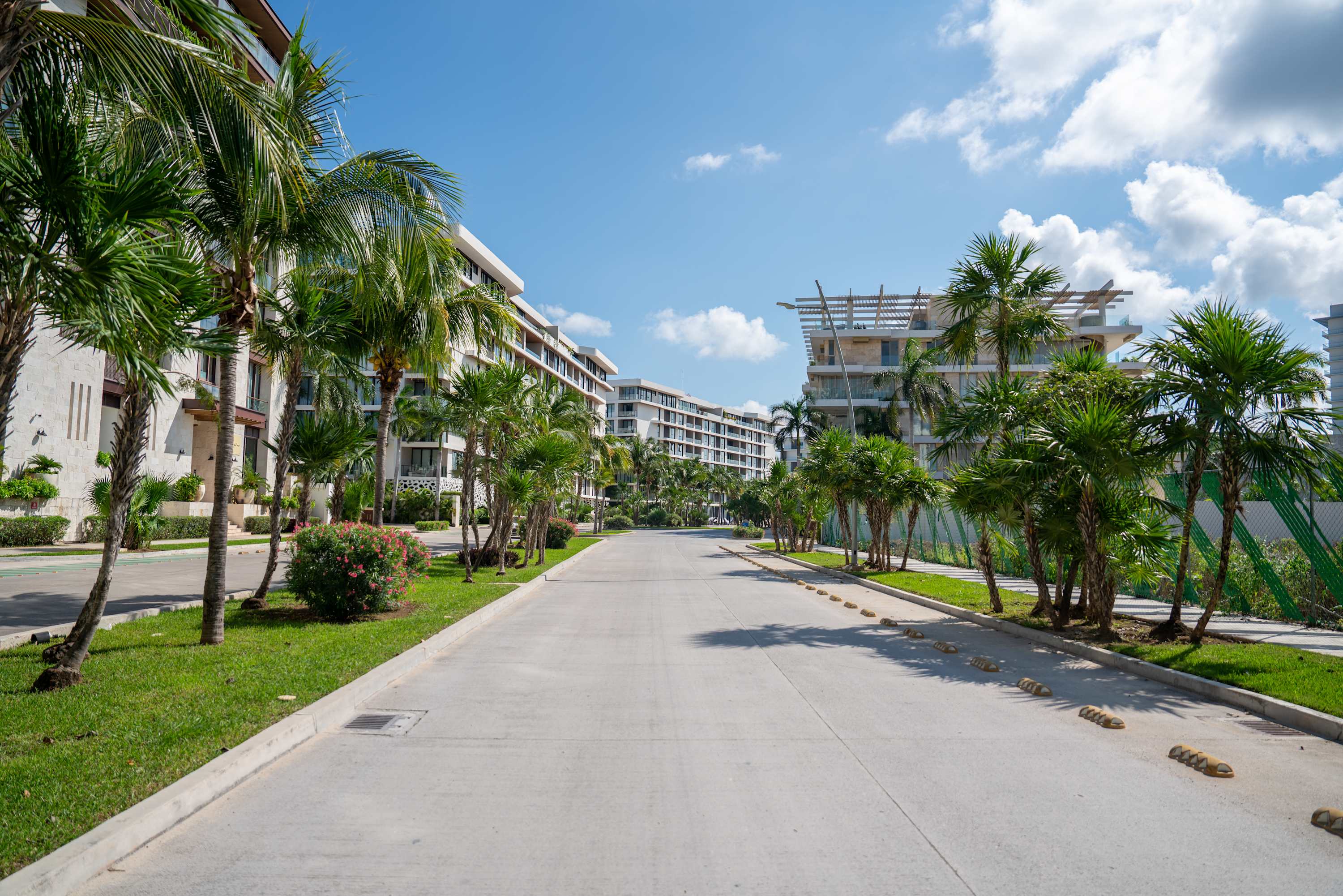 A paved road lined with palm trees and modern buildings under a clear blue sky.