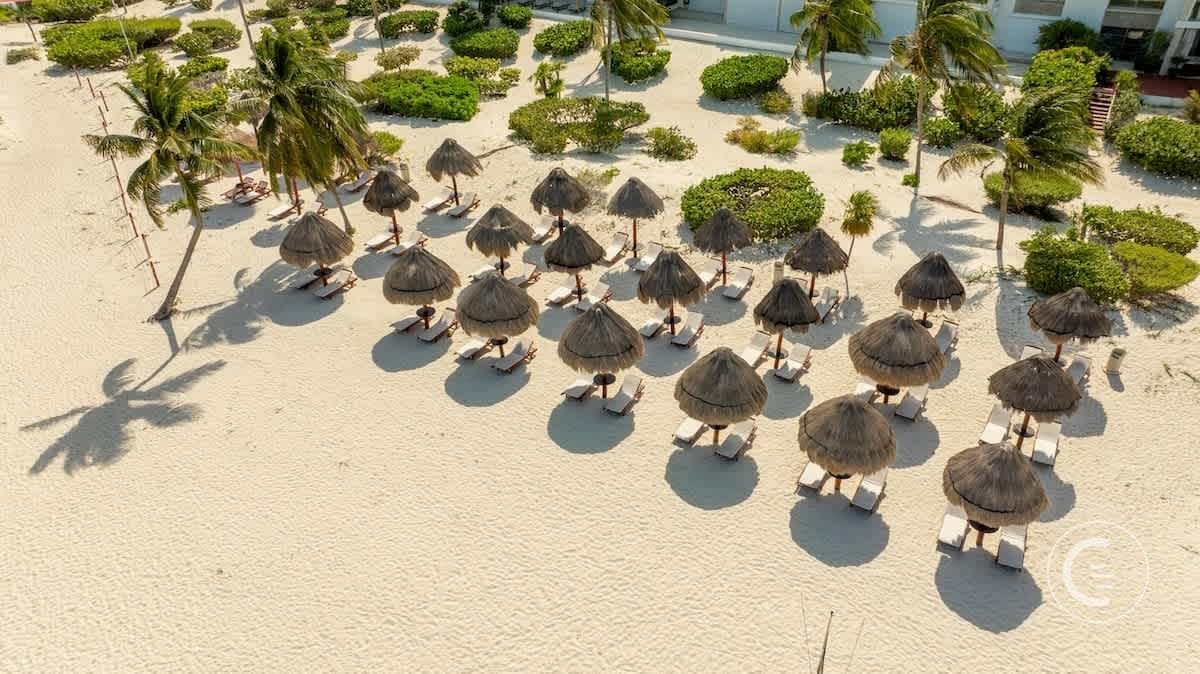 Beach umbrellas and lounge chairs on a sandy beach with palm trees.