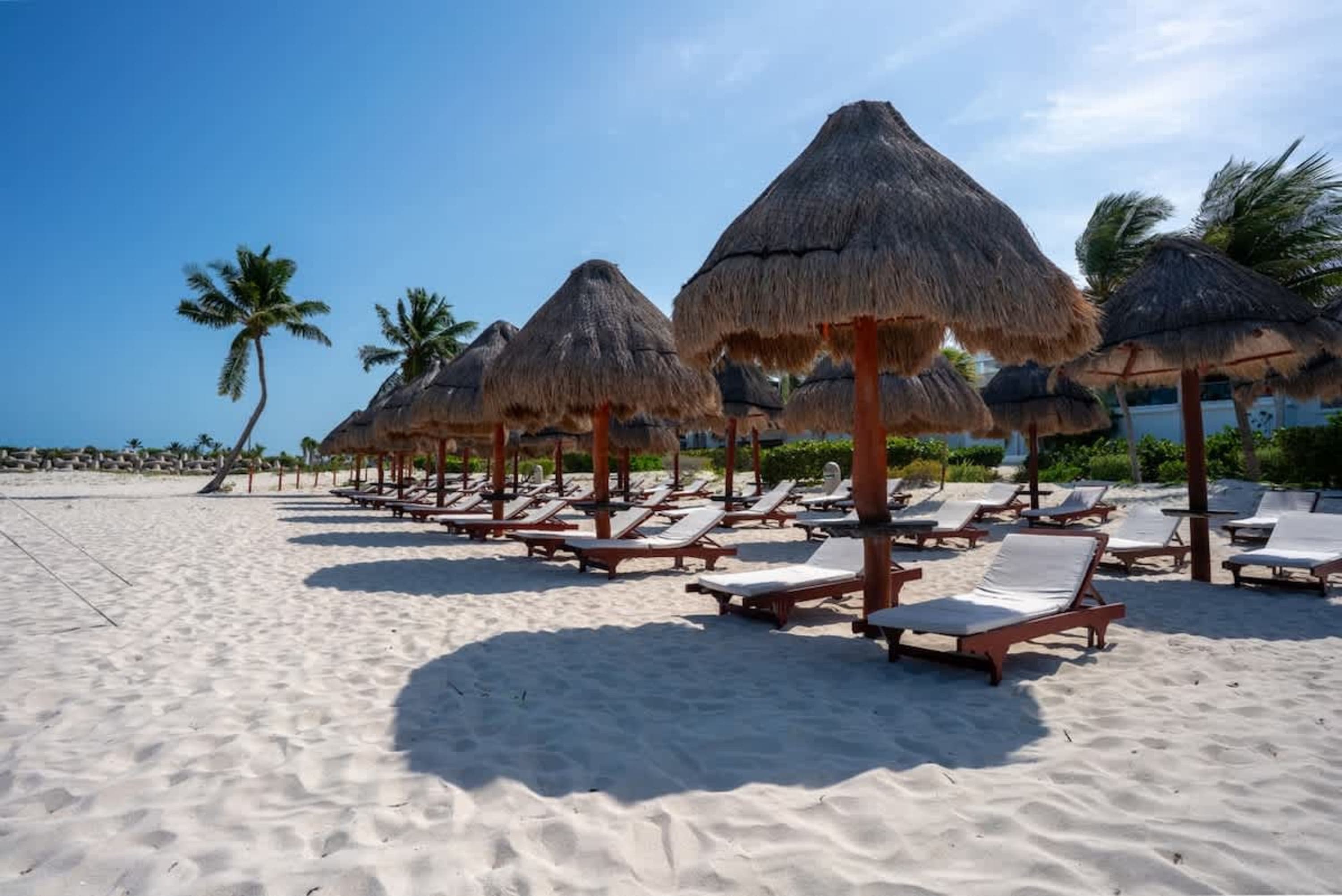 A row of empty beach chairs and thatched umbrellas on a white sand beach with palm trees and blue sk