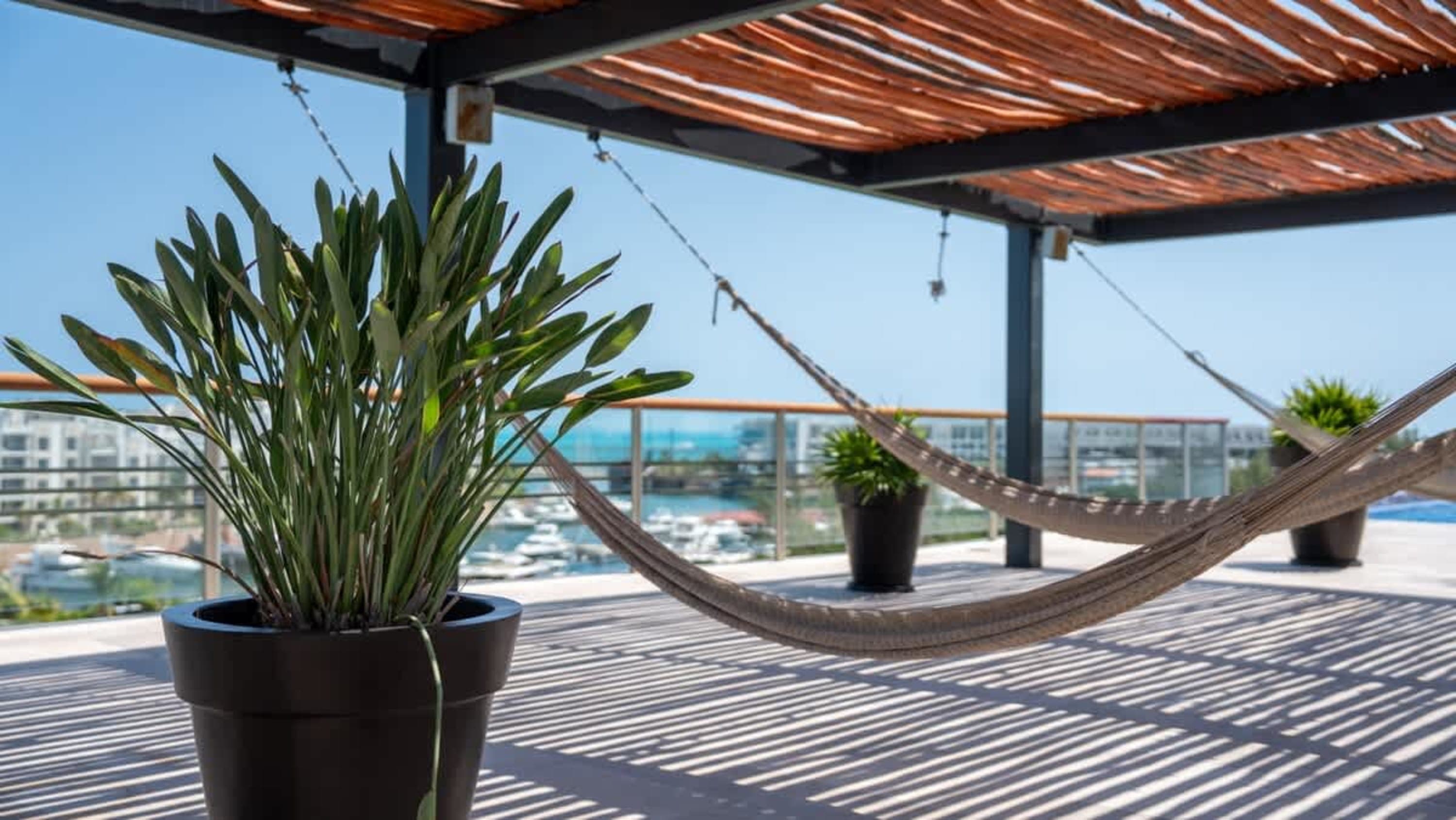 Hammocks and potted plants on a deck with a view of boats and buildings.