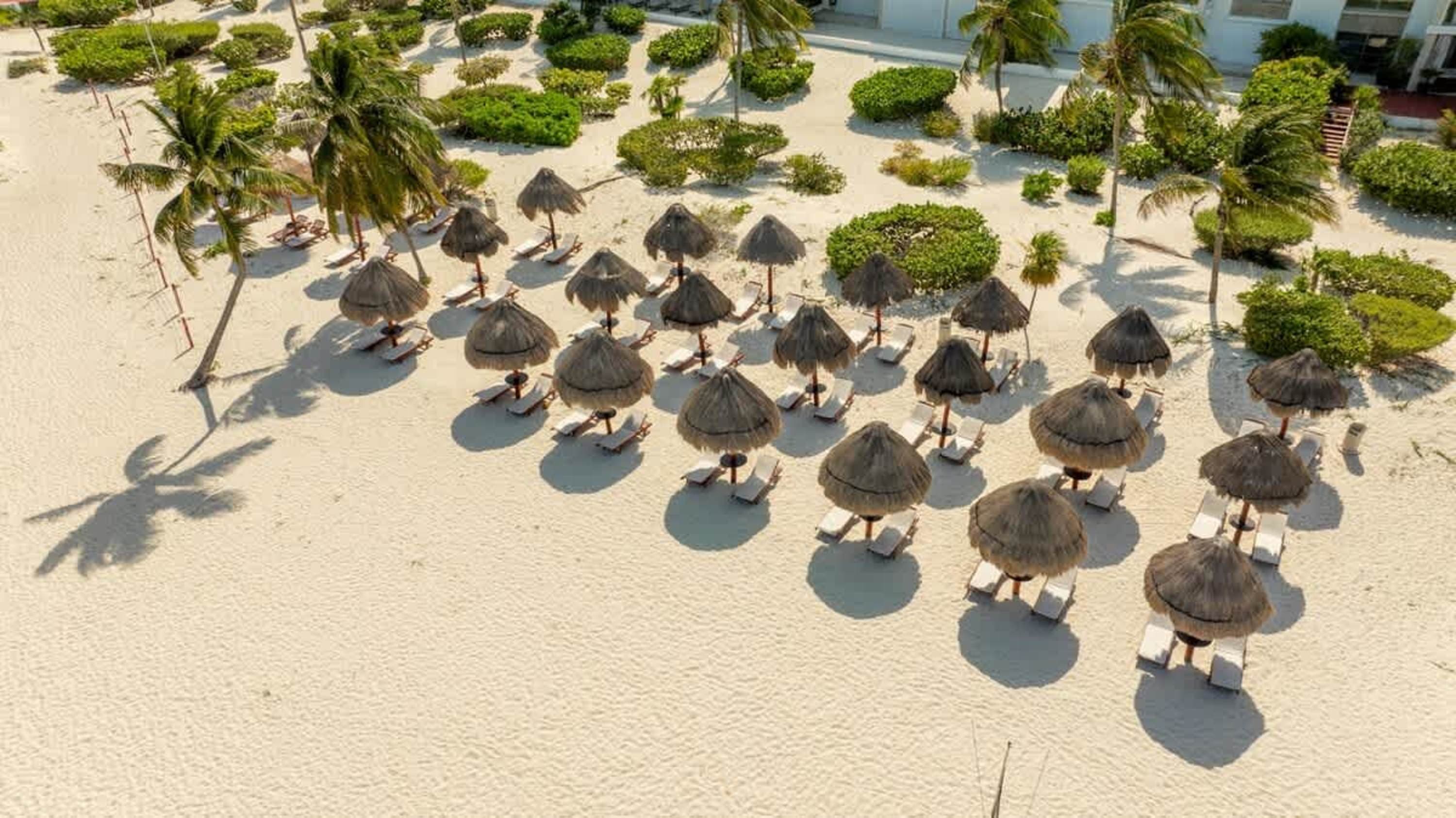 A beautiful beach with palm trees, thatched umbrellas, and lounge chairs, bathed in sunlight.