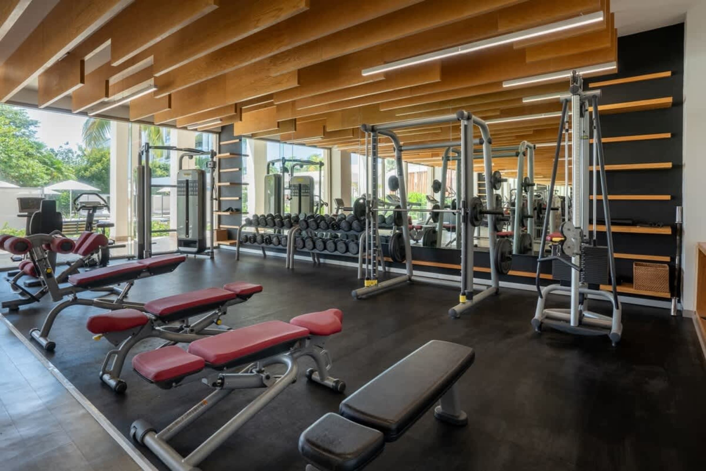 A modern gym with weight benches, a Smith machine, and dumbbells.