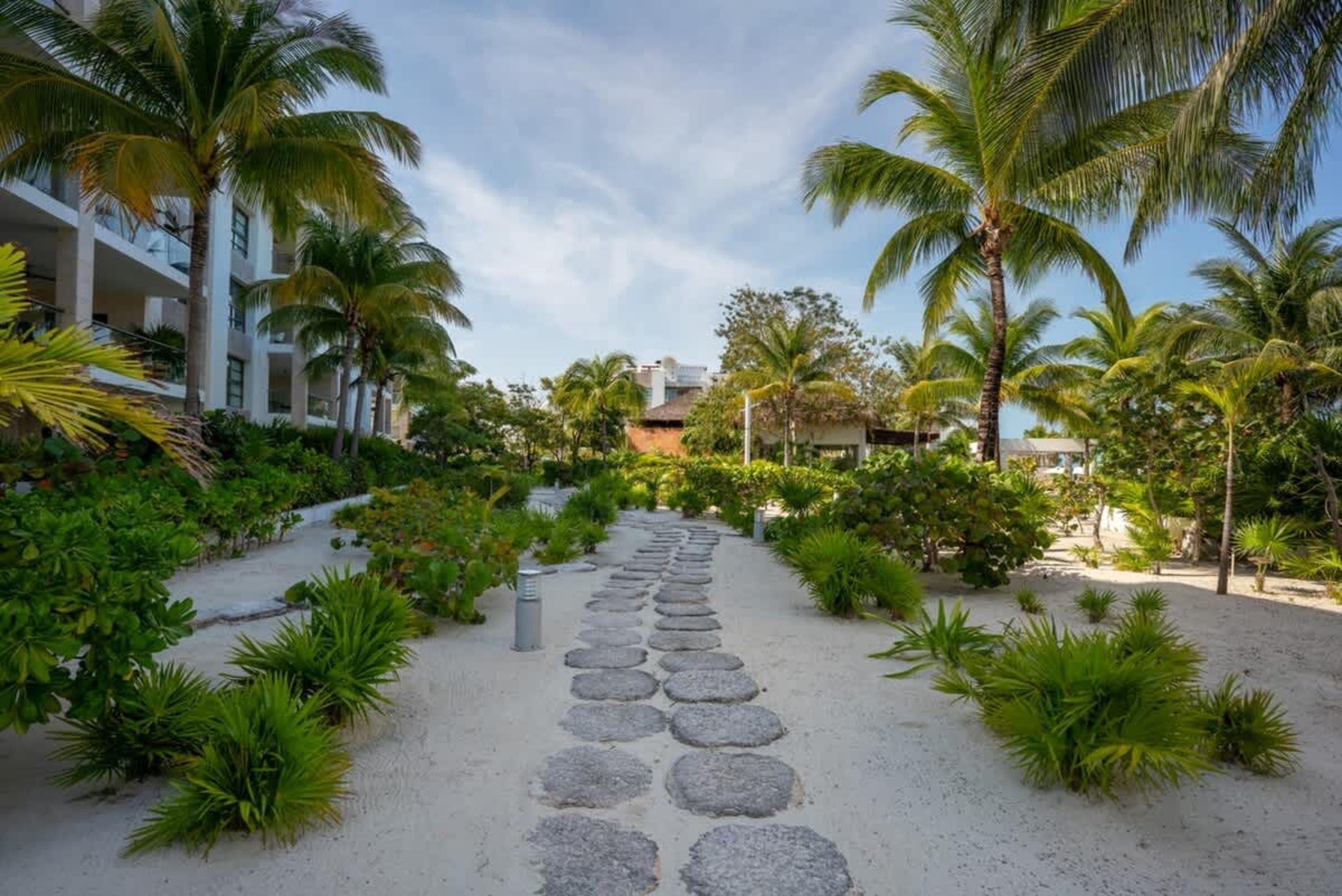 A sandy pathway winds through lush greenery and palm trees, leading towards a building and open sky.