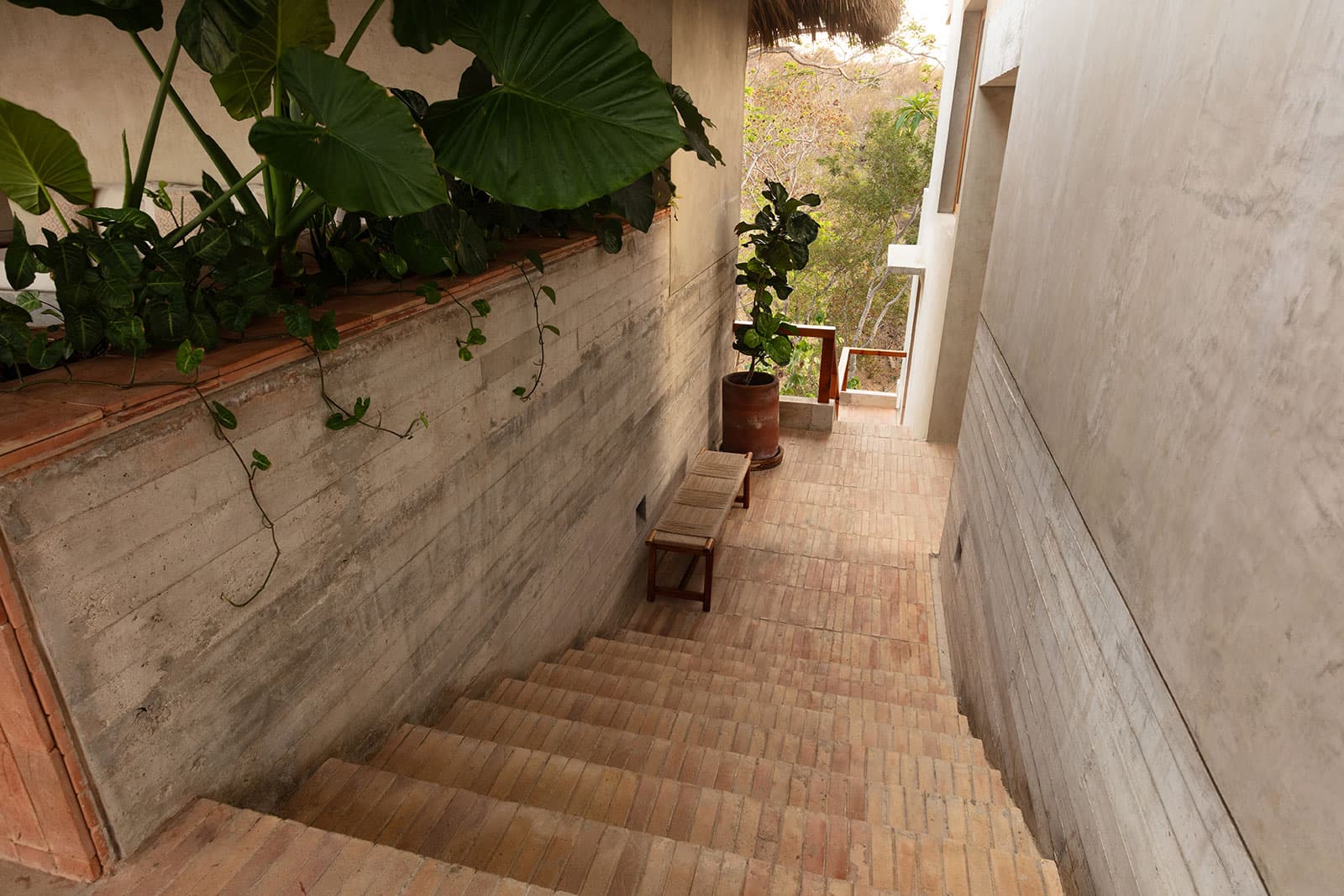 Casa Miguana