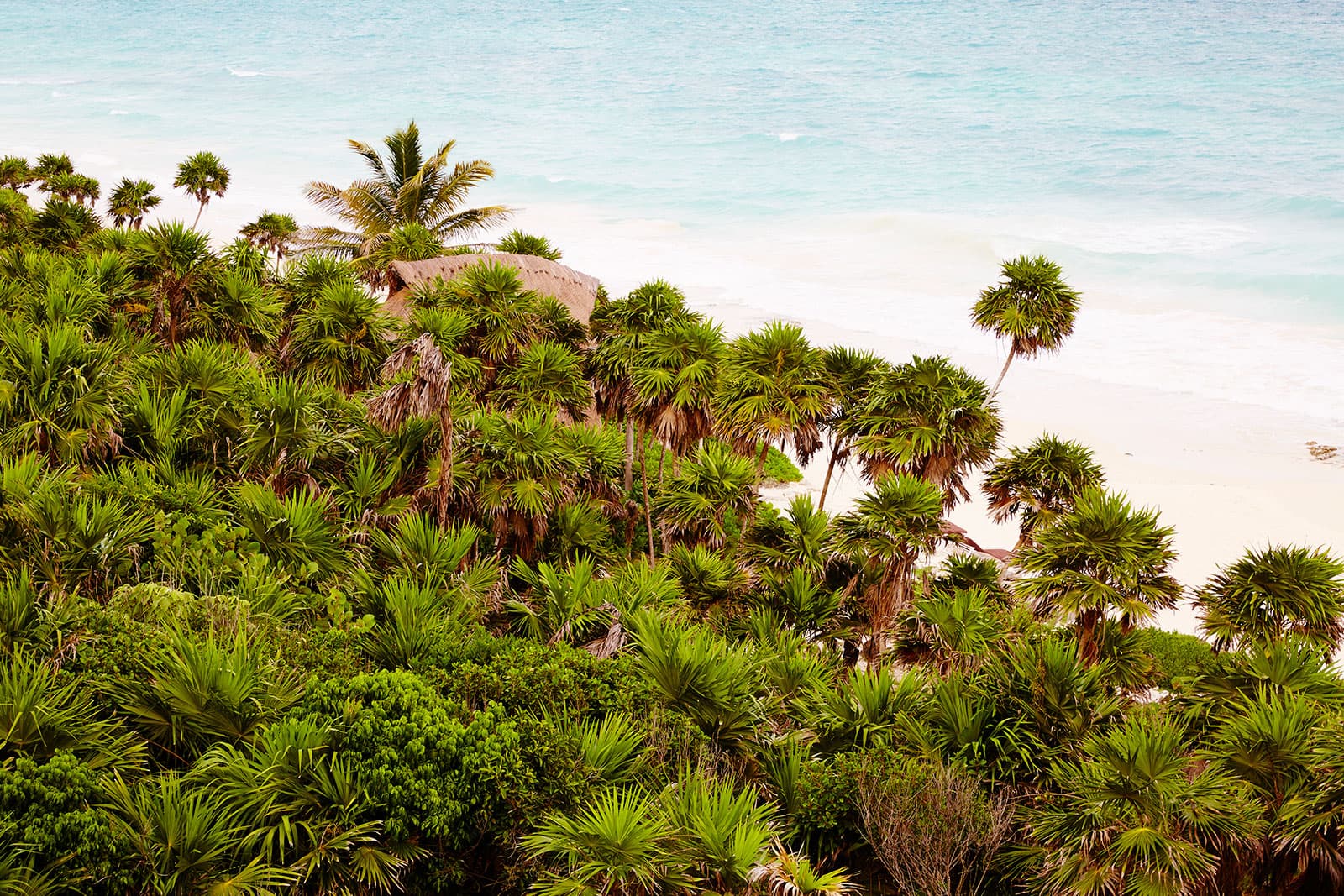 Casa Viento