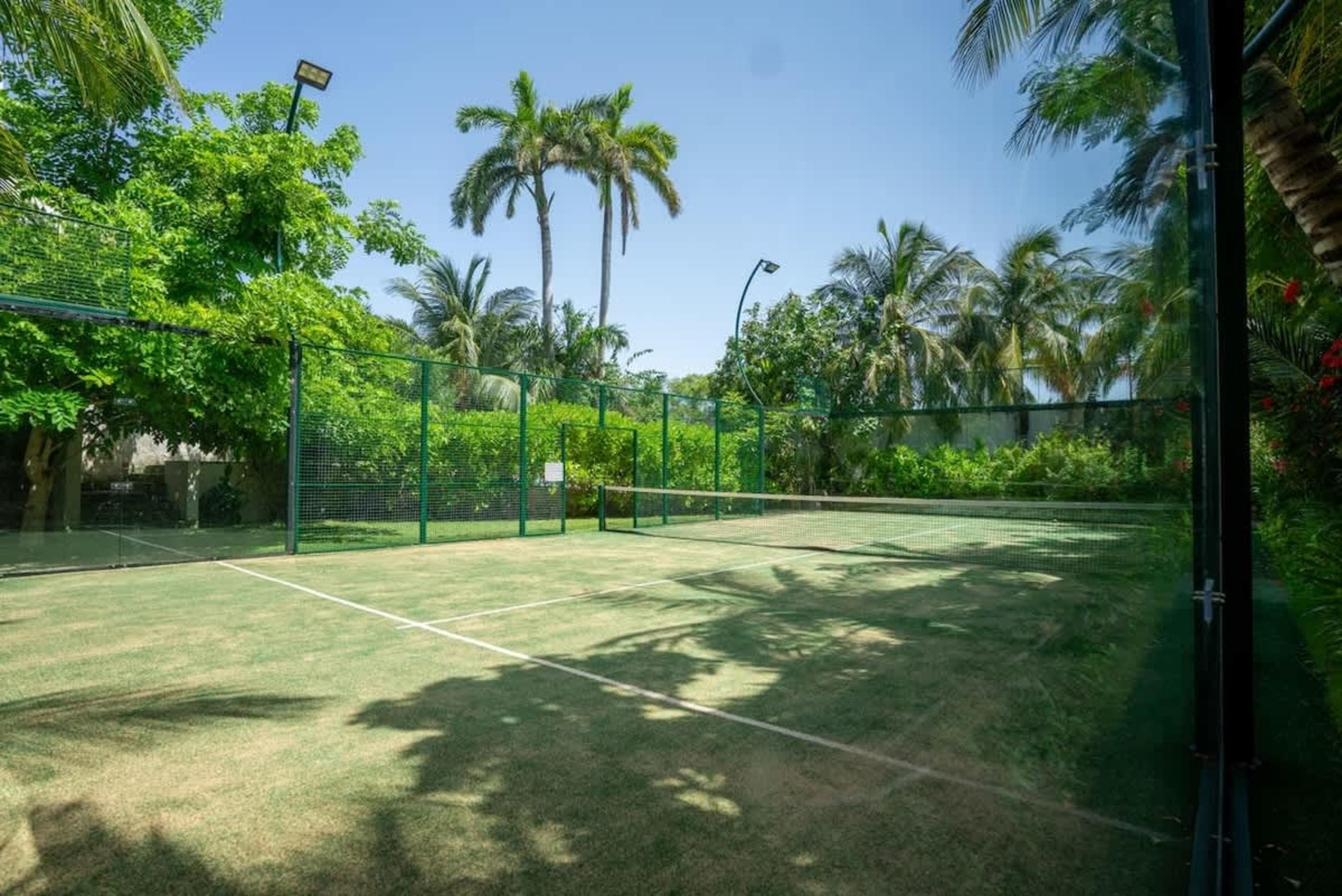 A padel court surrounded by lush green trees and palm trees on a sunny day.