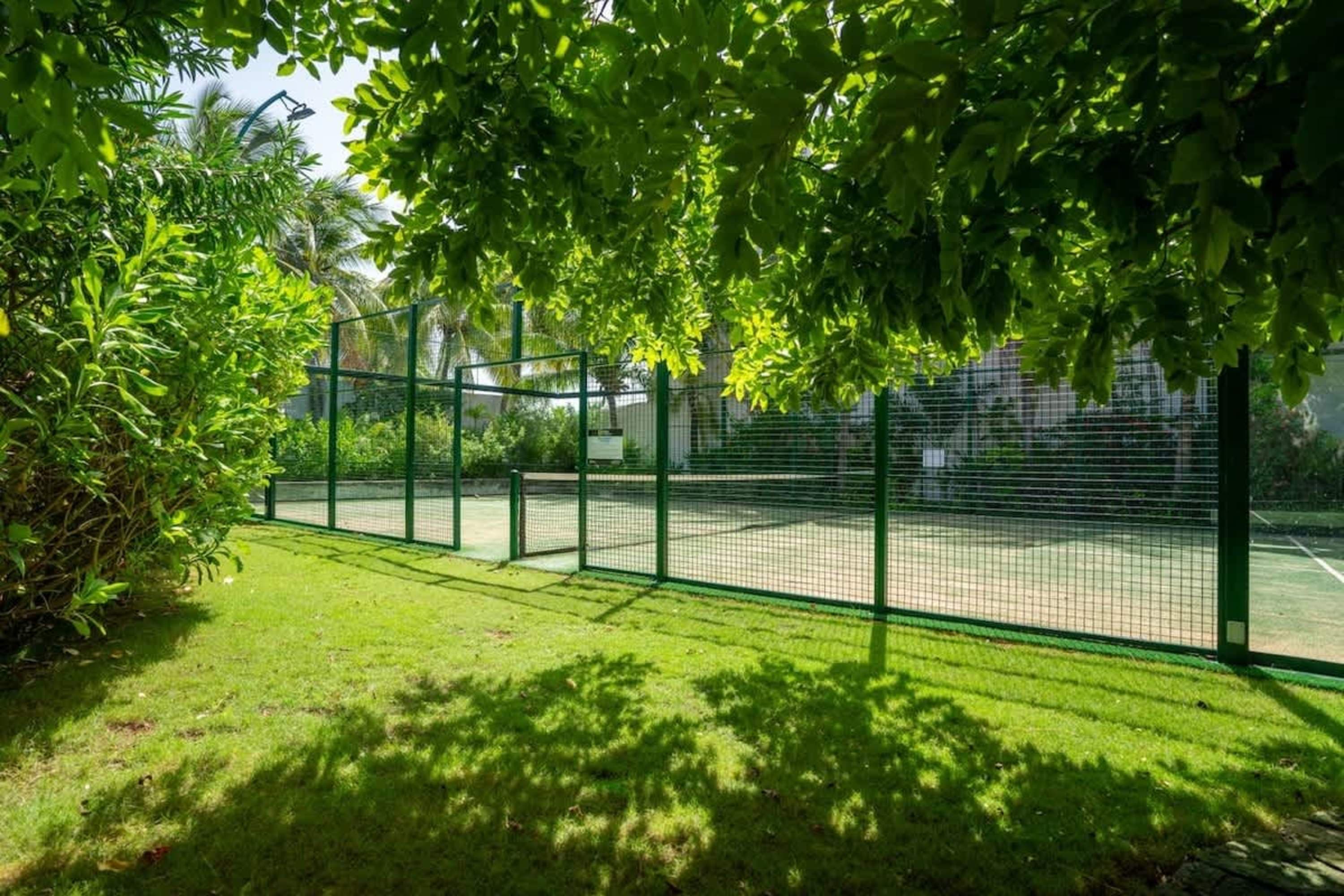A green paddle tennis court with a mesh fence, surrounded by lush vegetation and dappled sunlight.