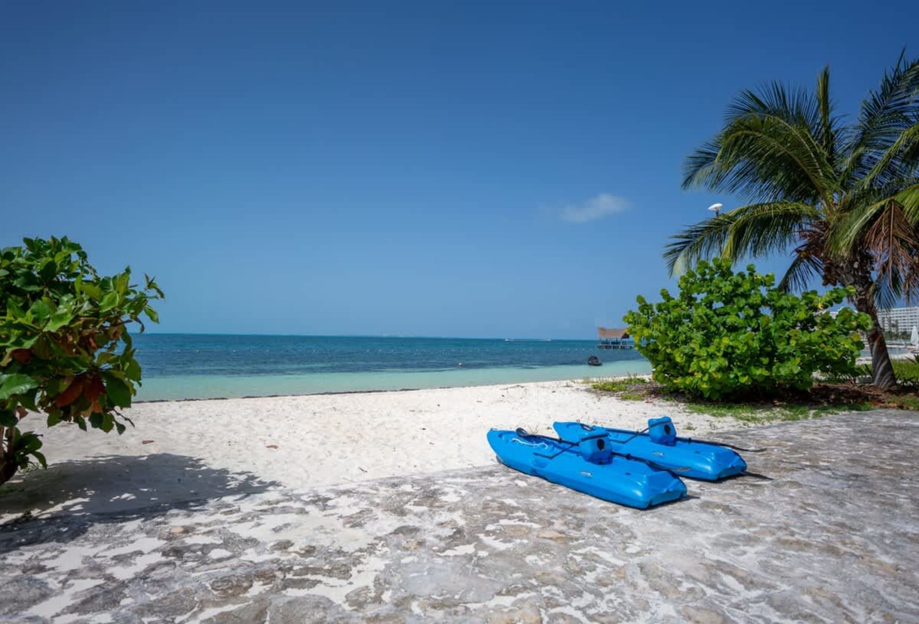 Two blue kayaks rest on a sandy beach by the ocean under a palm tree.