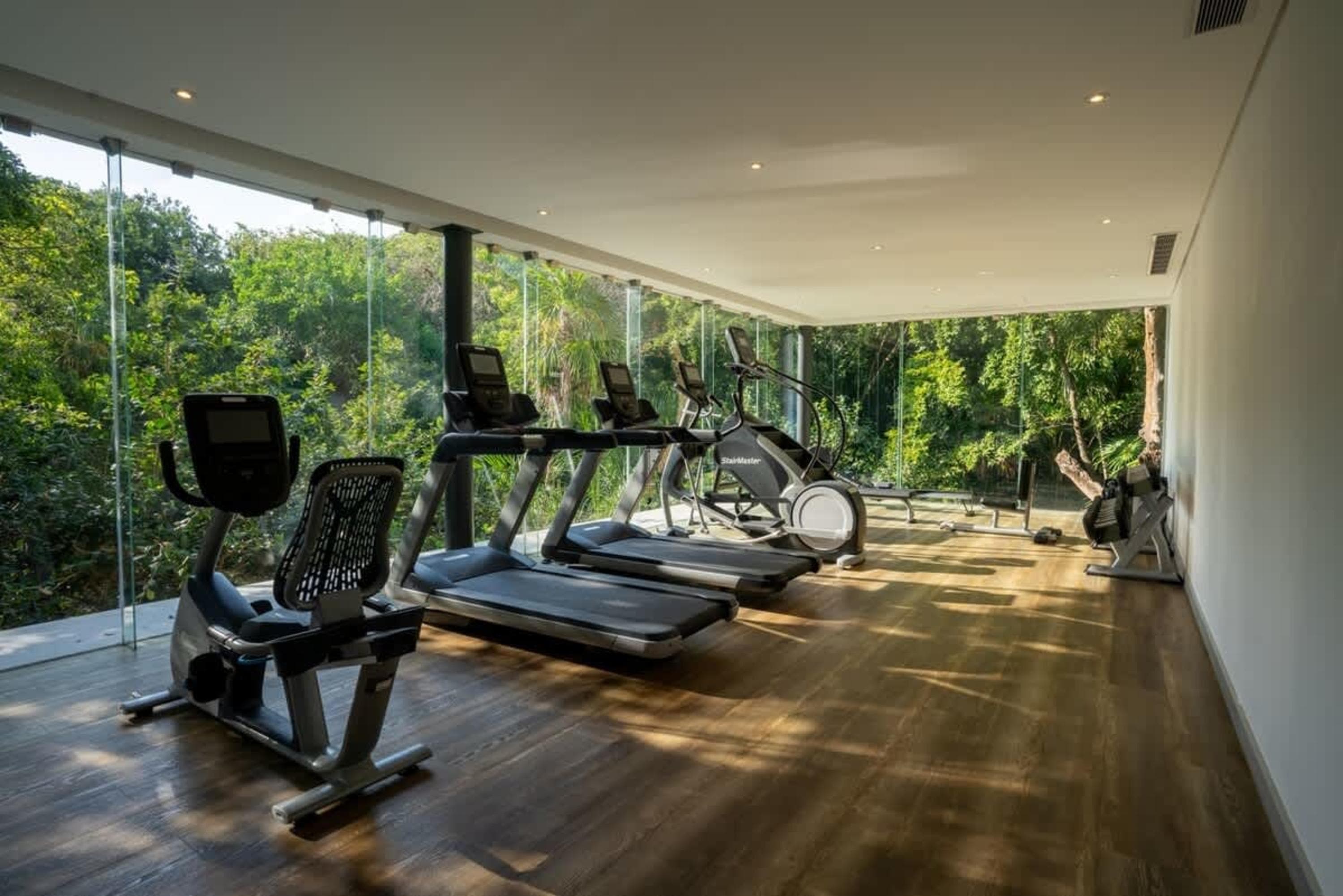 A modern gym with treadmills, an elliptical, and a stationary bike, overlooking a lush forest.