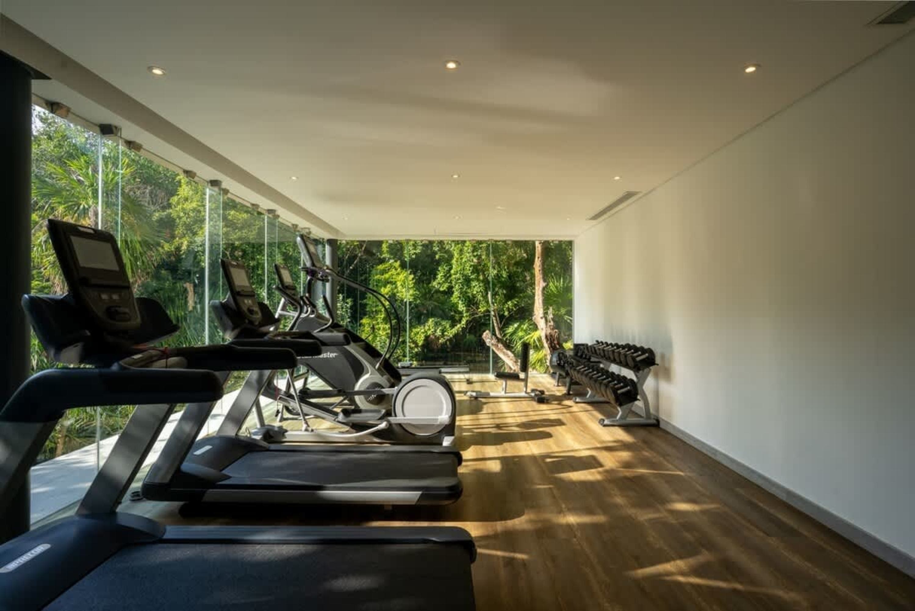 Modern gym with treadmills, elliptical, and dumbbells, surrounded by lush greenery.