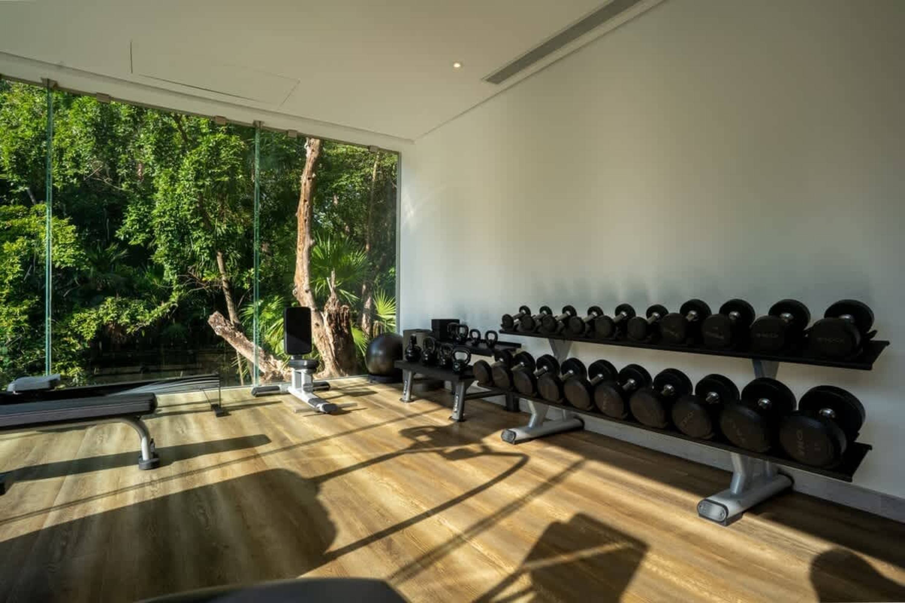 A gym with a wall of windows overlooking lush trees, and dumbbells on racks.