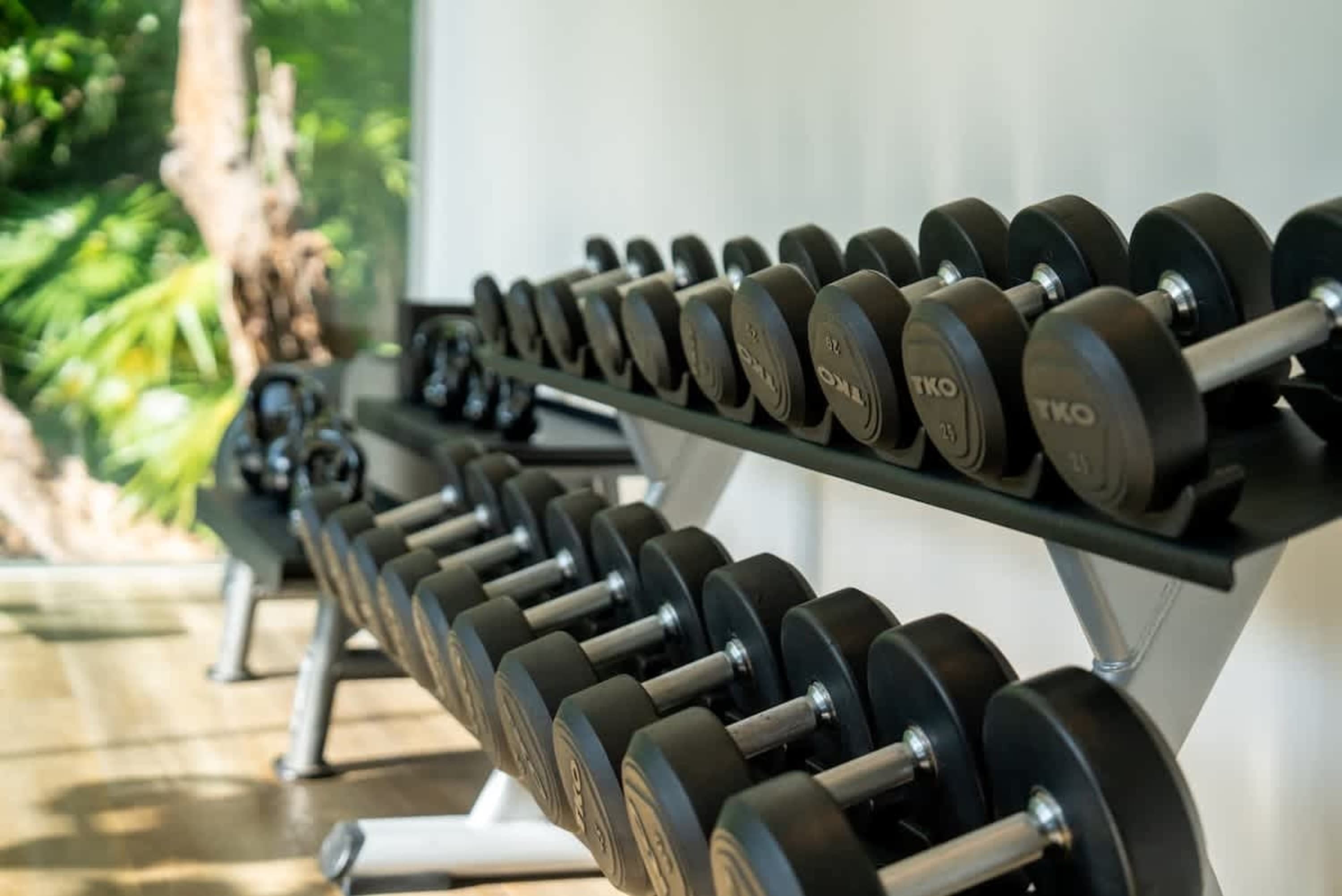 A rack of dumbbells in a gym with palm trees in the background.
