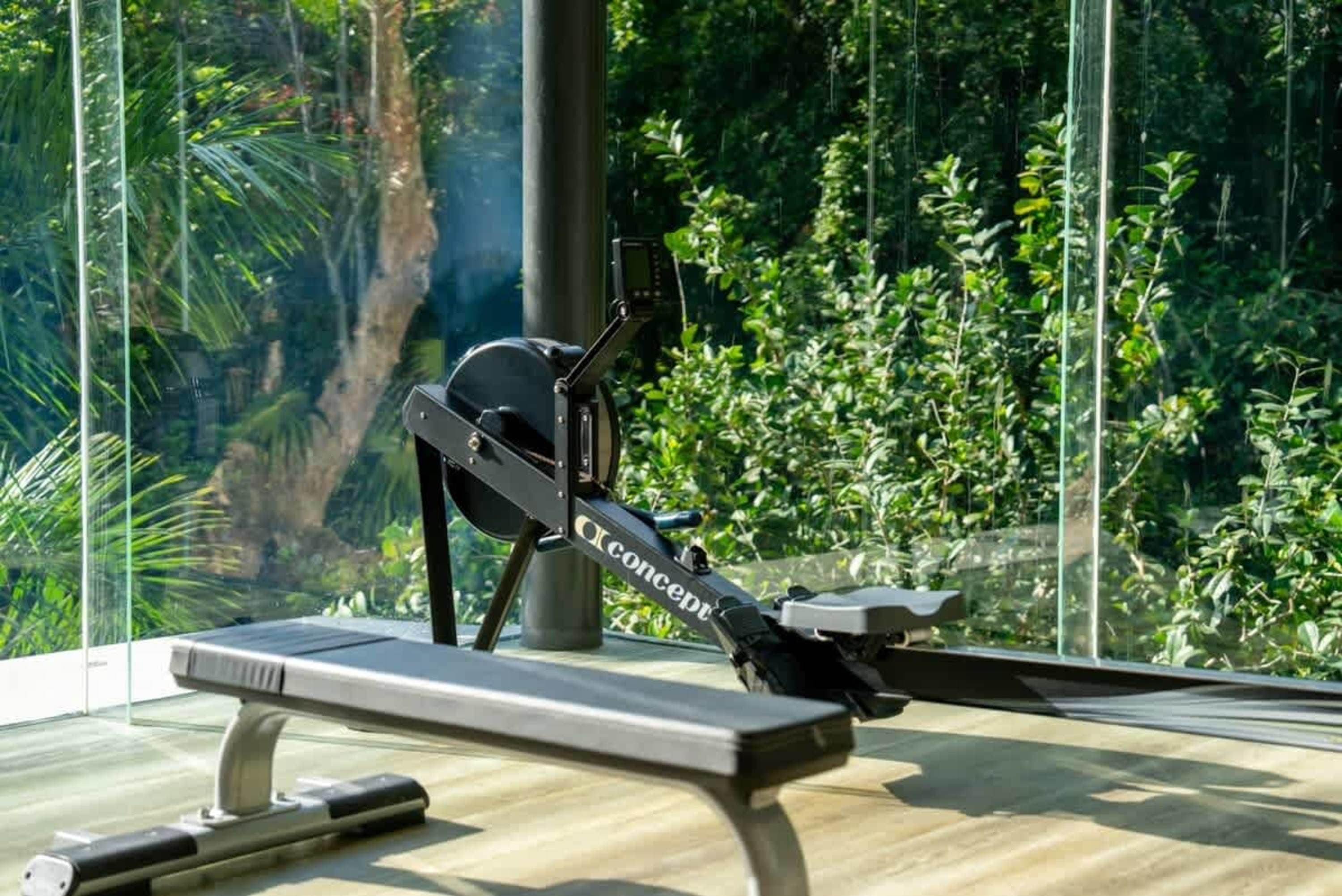 A rowing machine and bench sit in front of large windows overlooking lush greenery.