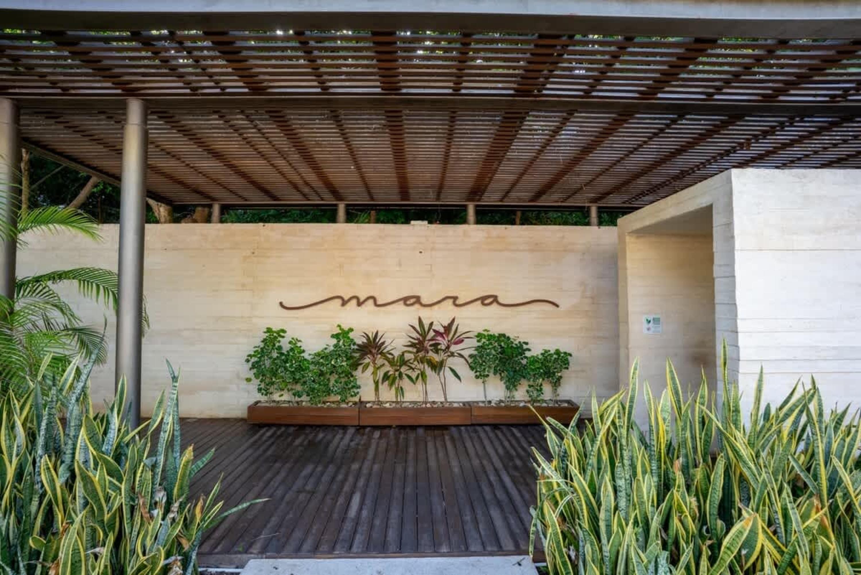 A sign for "mara" is displayed on a textured wall above a row of potted plants and a wooden deck.