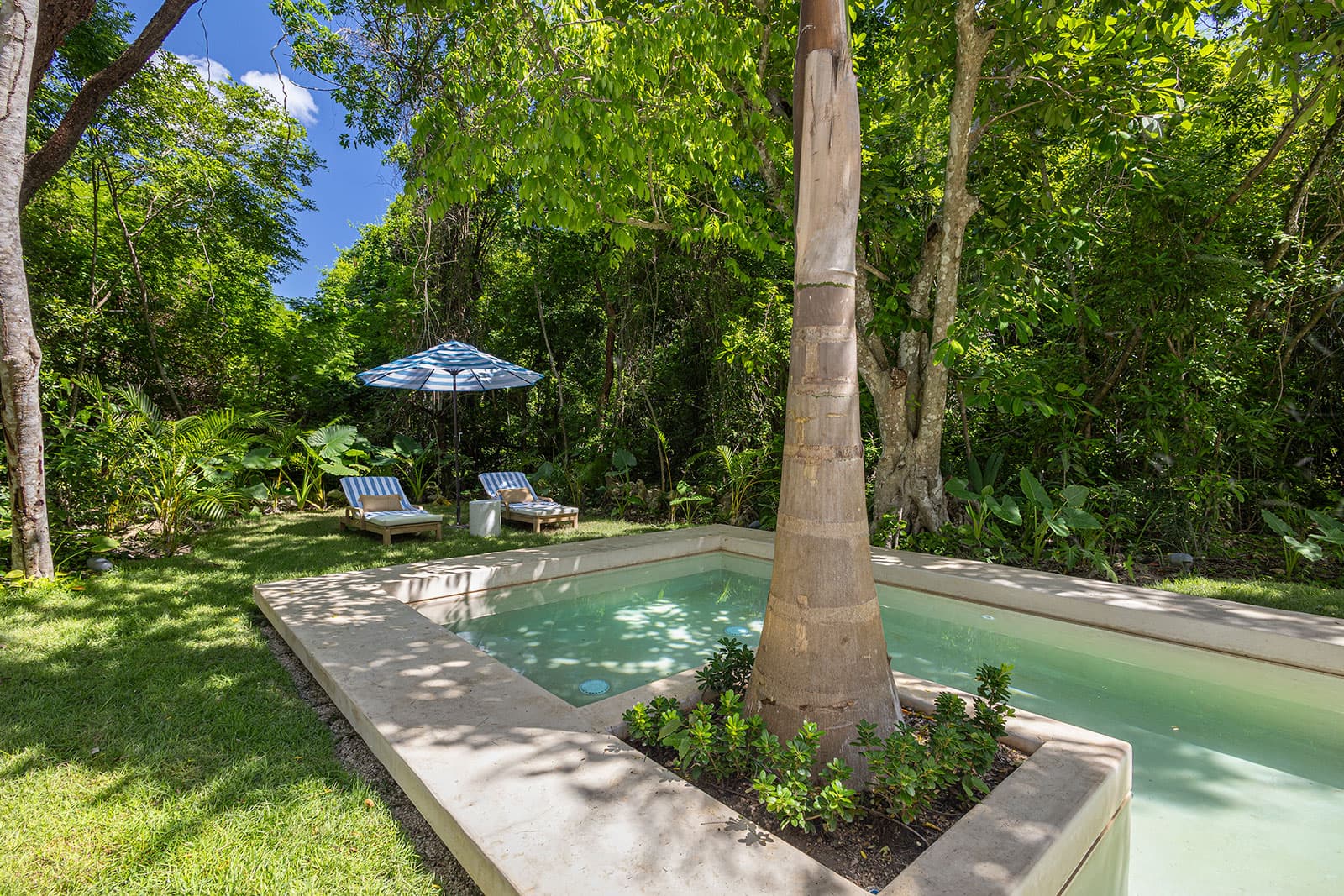 Palm Villa