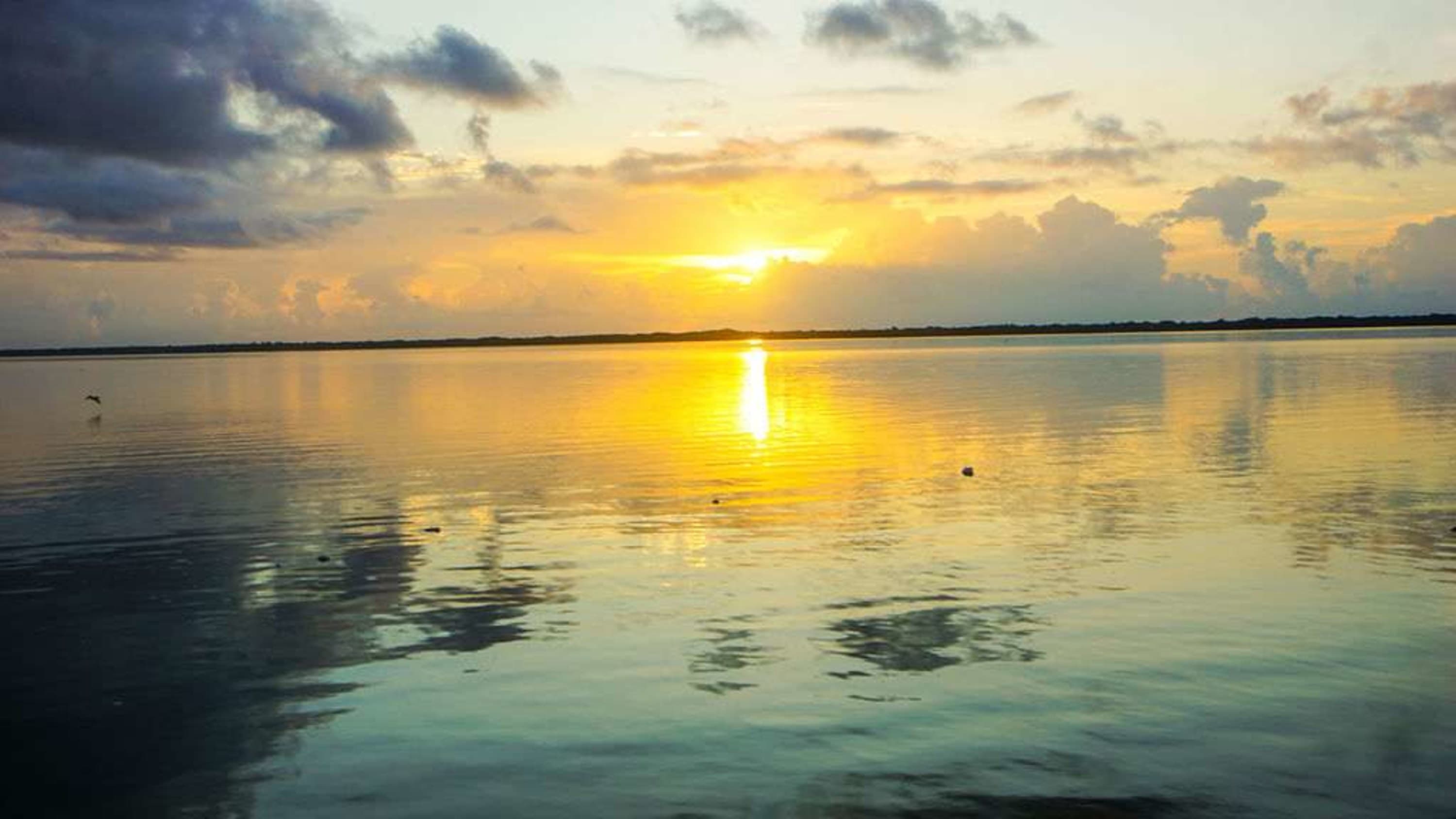 Sunrise over a tranquil lake, casting a golden glow on the water.