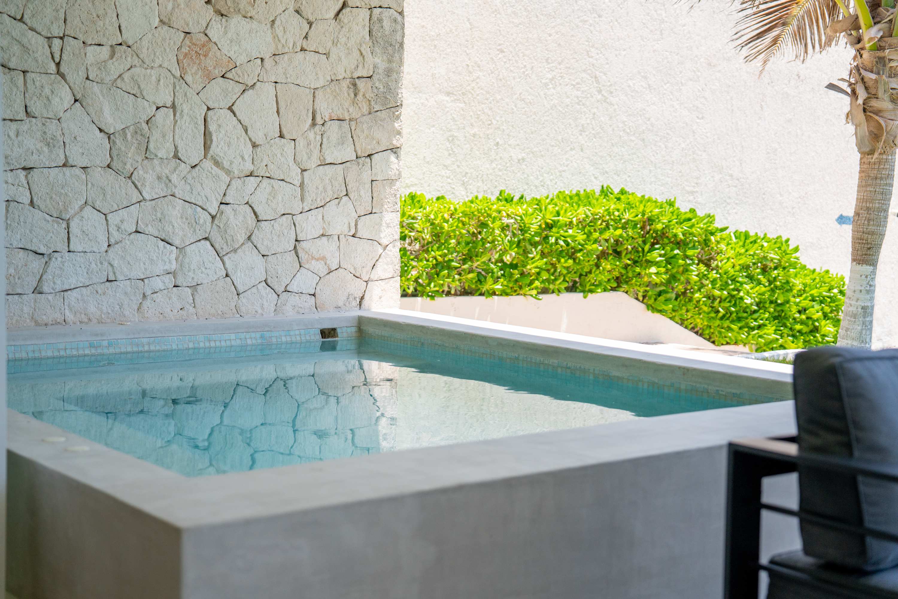 A resort plunge pool with a stone wall and palm tree.