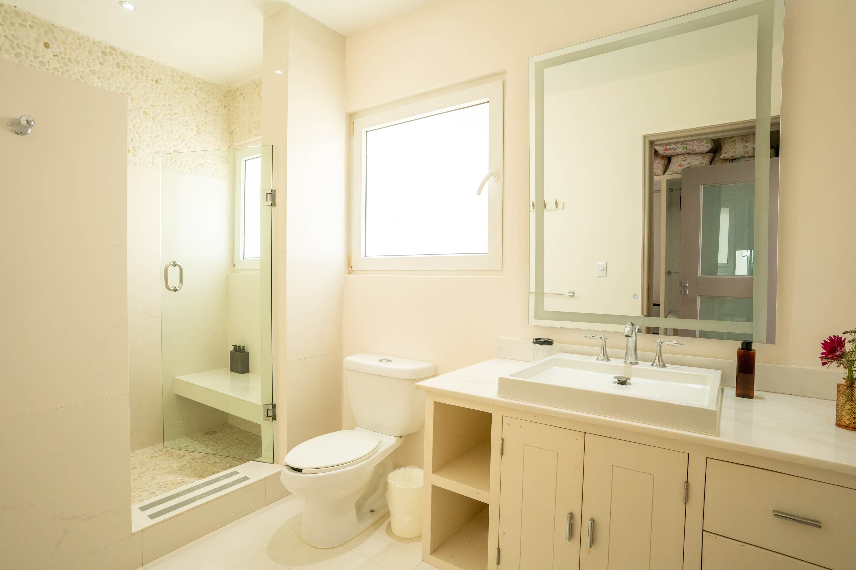 Bathroom with a shower, toilet, and vanity with a sink and mirror.