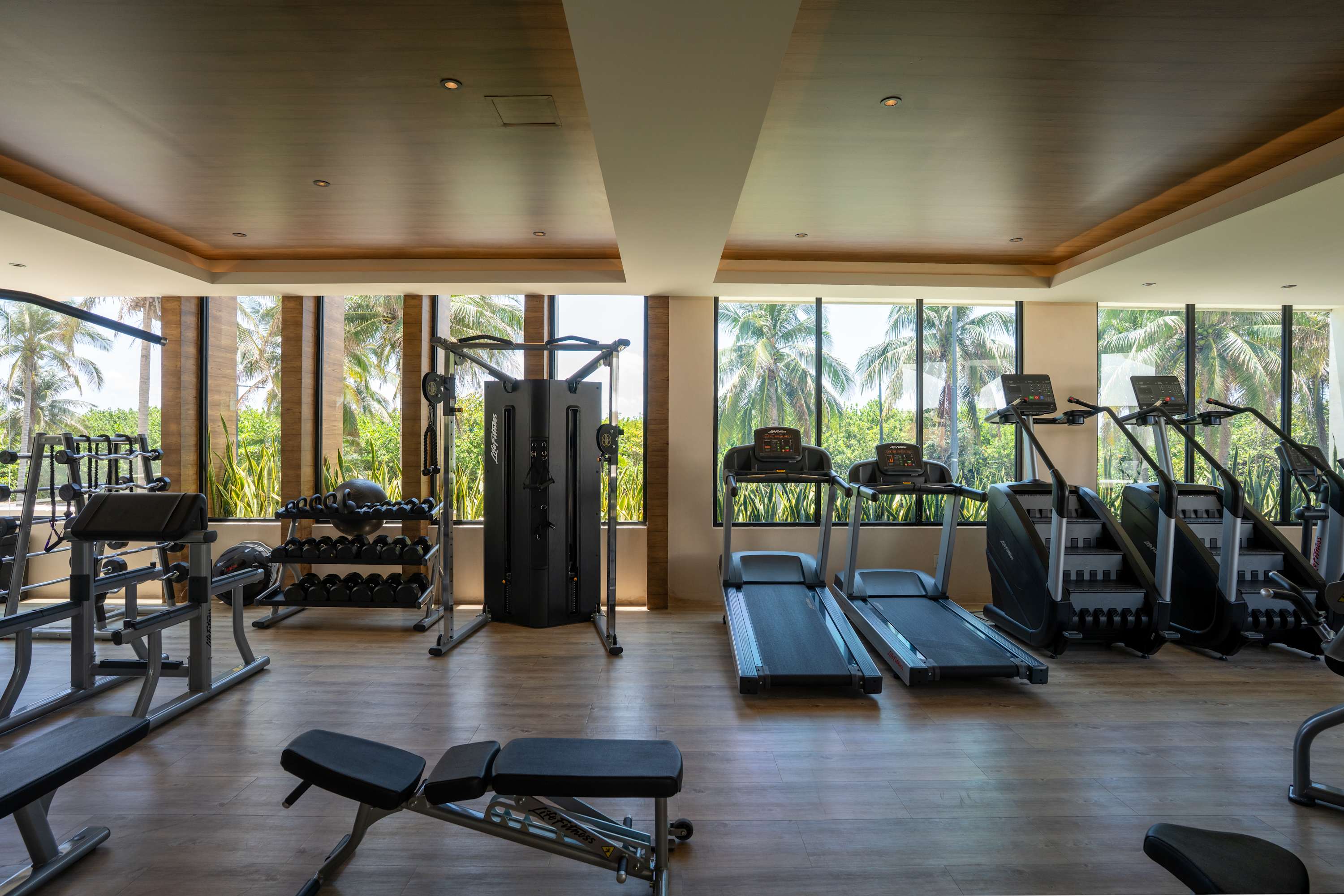 A modern gym with treadmills, weights, and machines, overlooking palm trees.