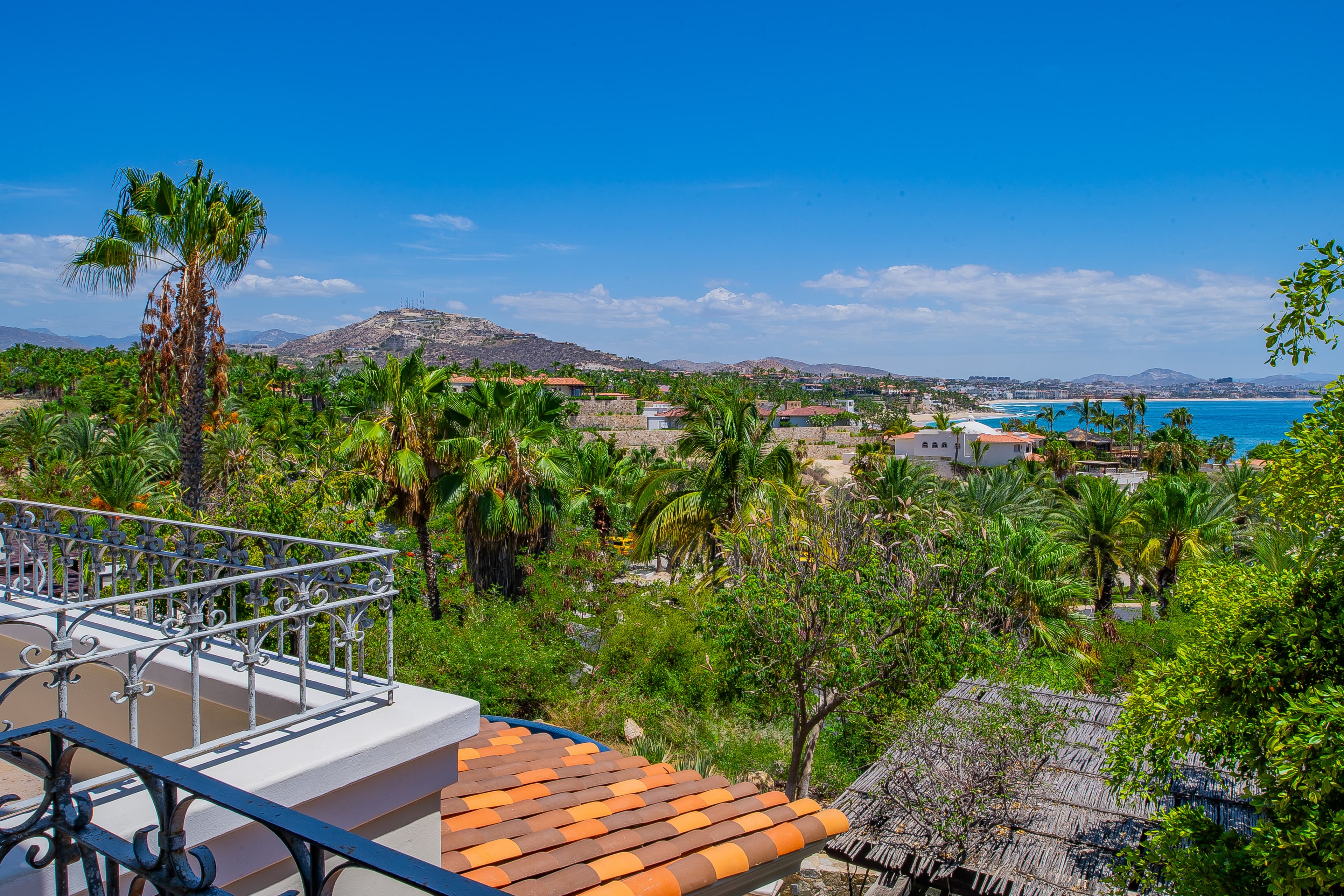 Stunning coastal vista framed by lush palms and tropical gardens, with mountains rising above the sparkling sea and terracotta rooftops dotting the landscape below.