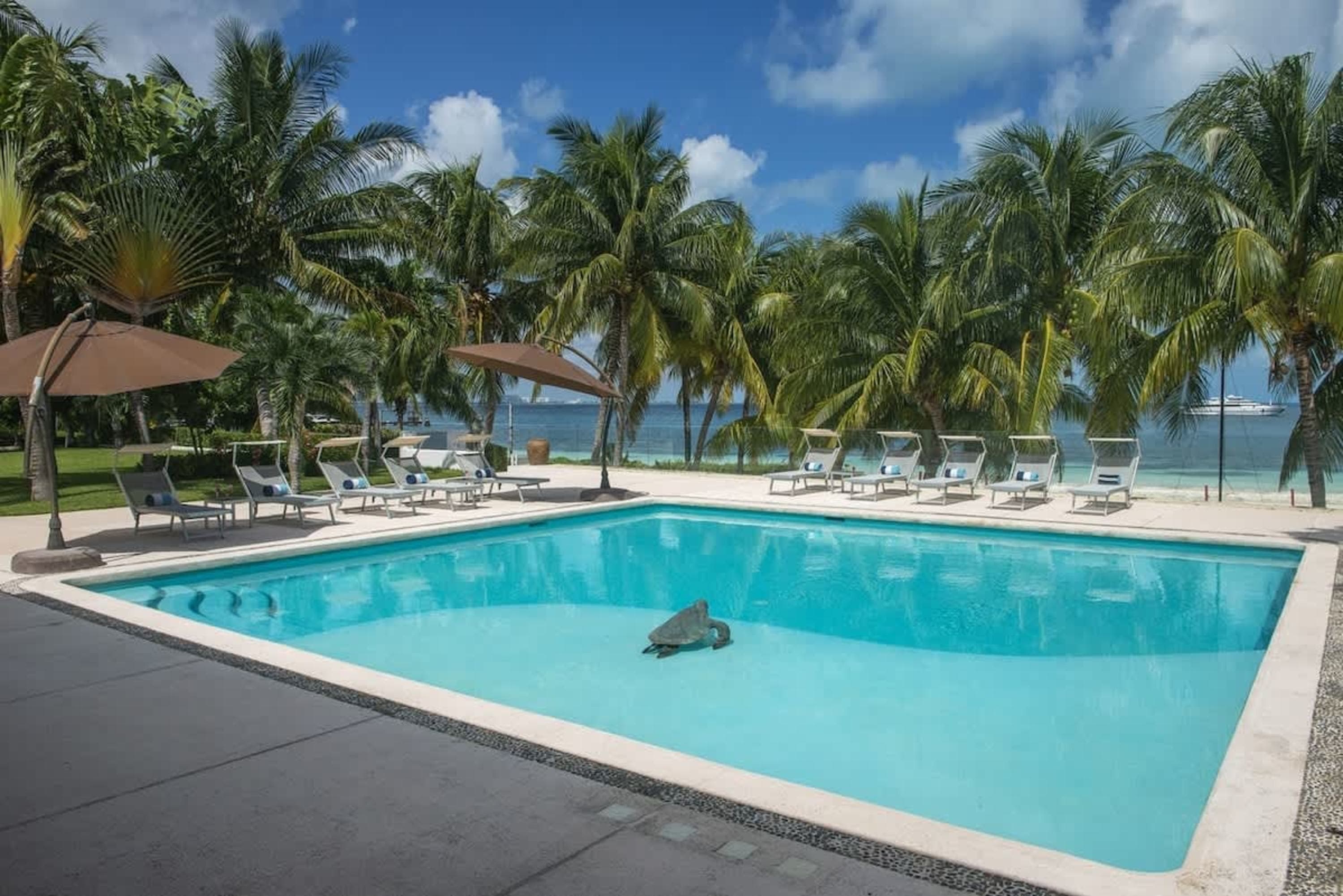 A beautiful resort pool with lounge chairs, umbrellas, palm trees, and the ocean in the background.