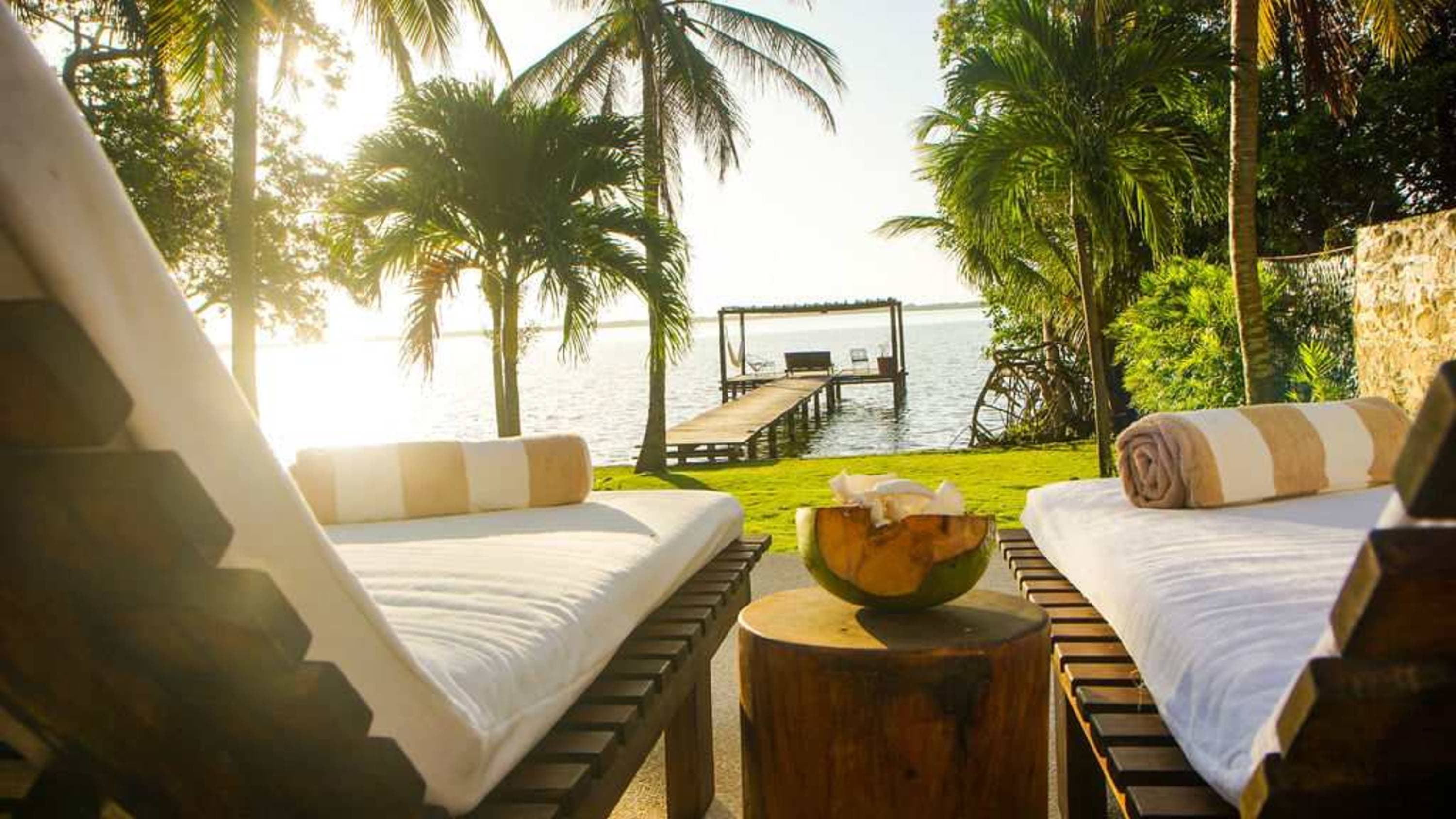 Lounge chairs by the water with palm trees, a dock, and a coconut drink.