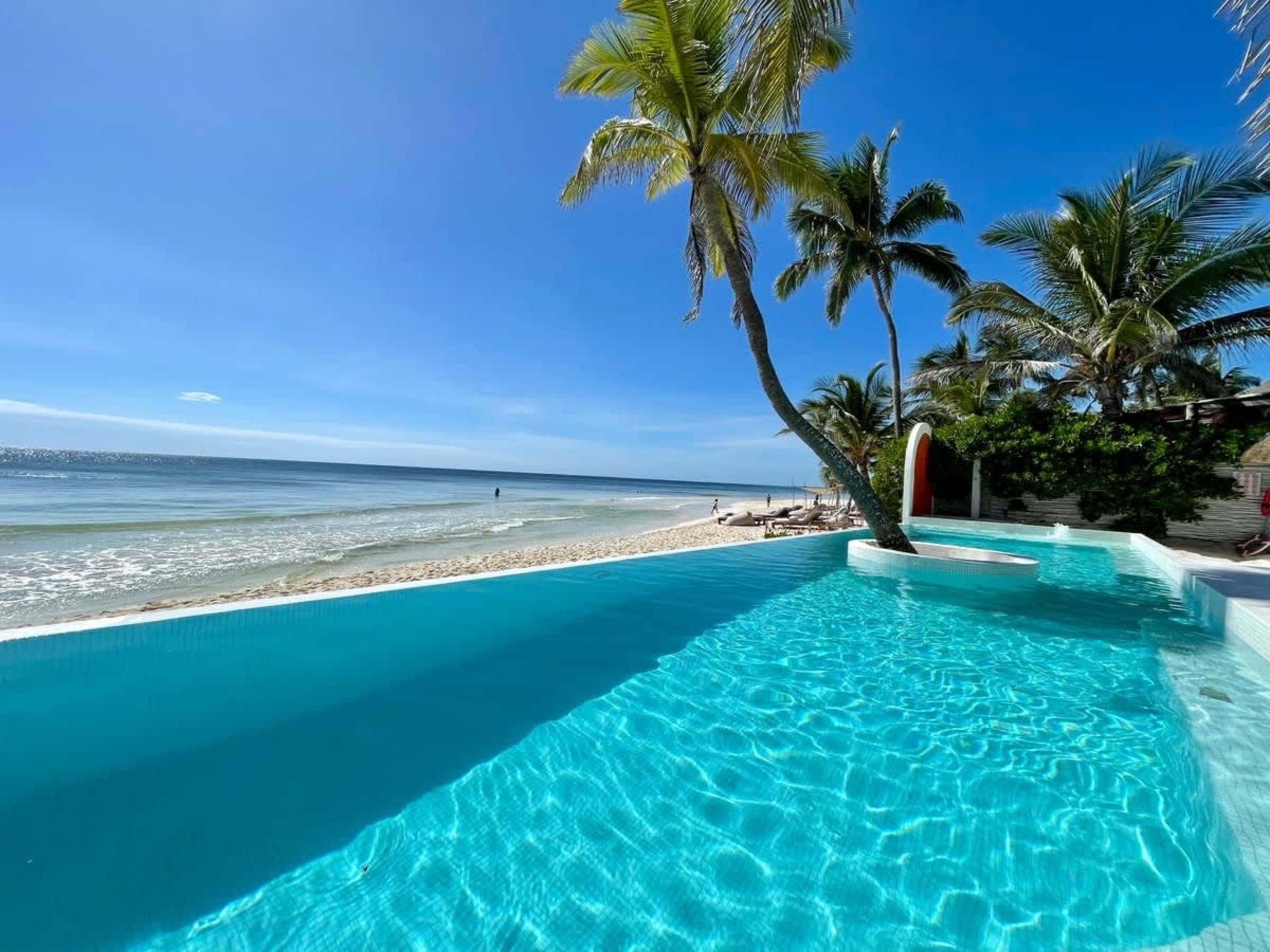 A tropical infinity pool overlooks a pristine beach and the ocean under a clear blue sky.